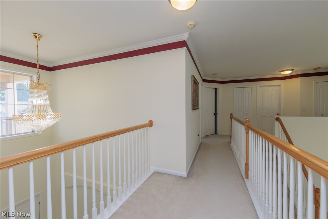 38467 Renwood Avenue Avon OH 44011