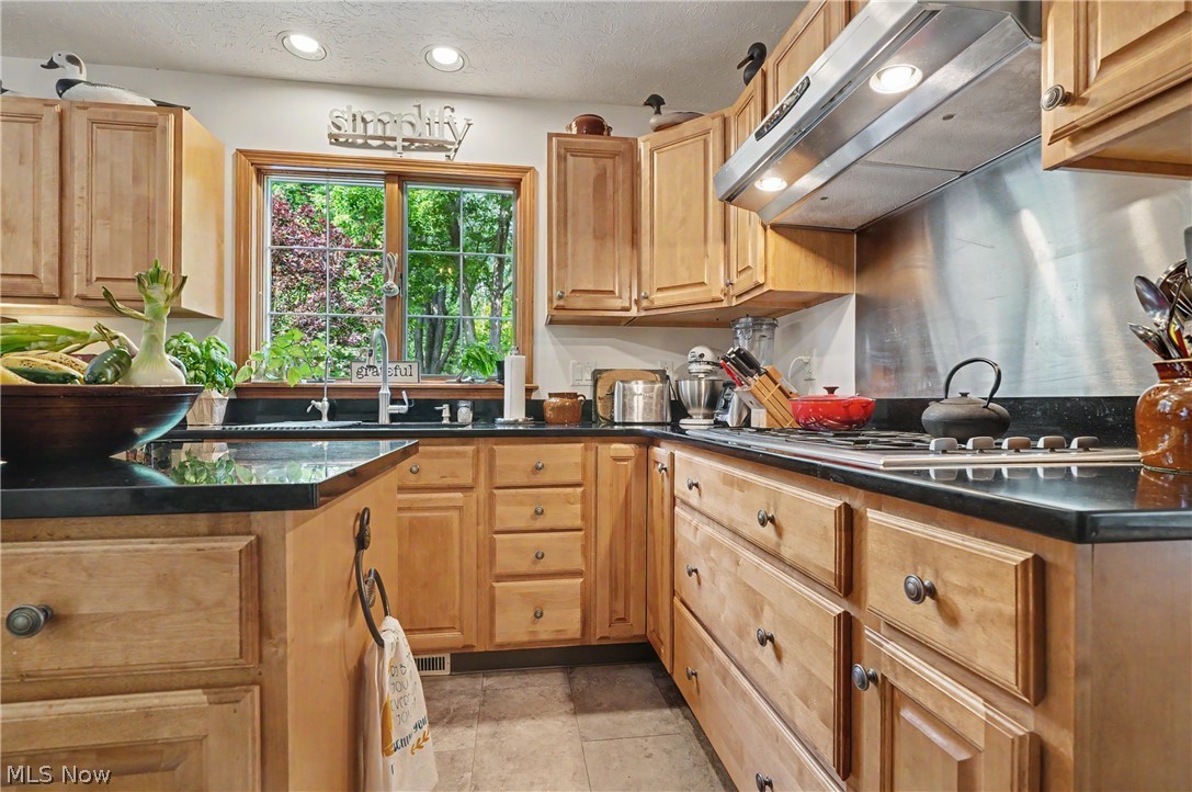 15884 Arbor Trail Newbury OH 44065
