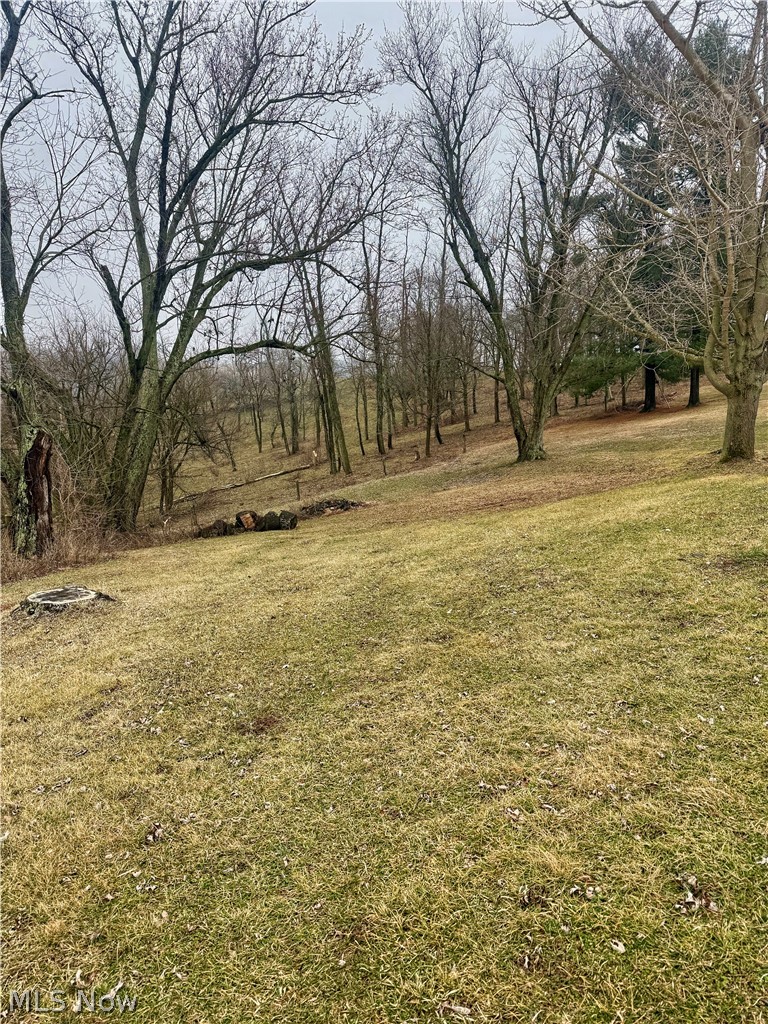 2040 State Route 152 Dillonvale OH 43917
