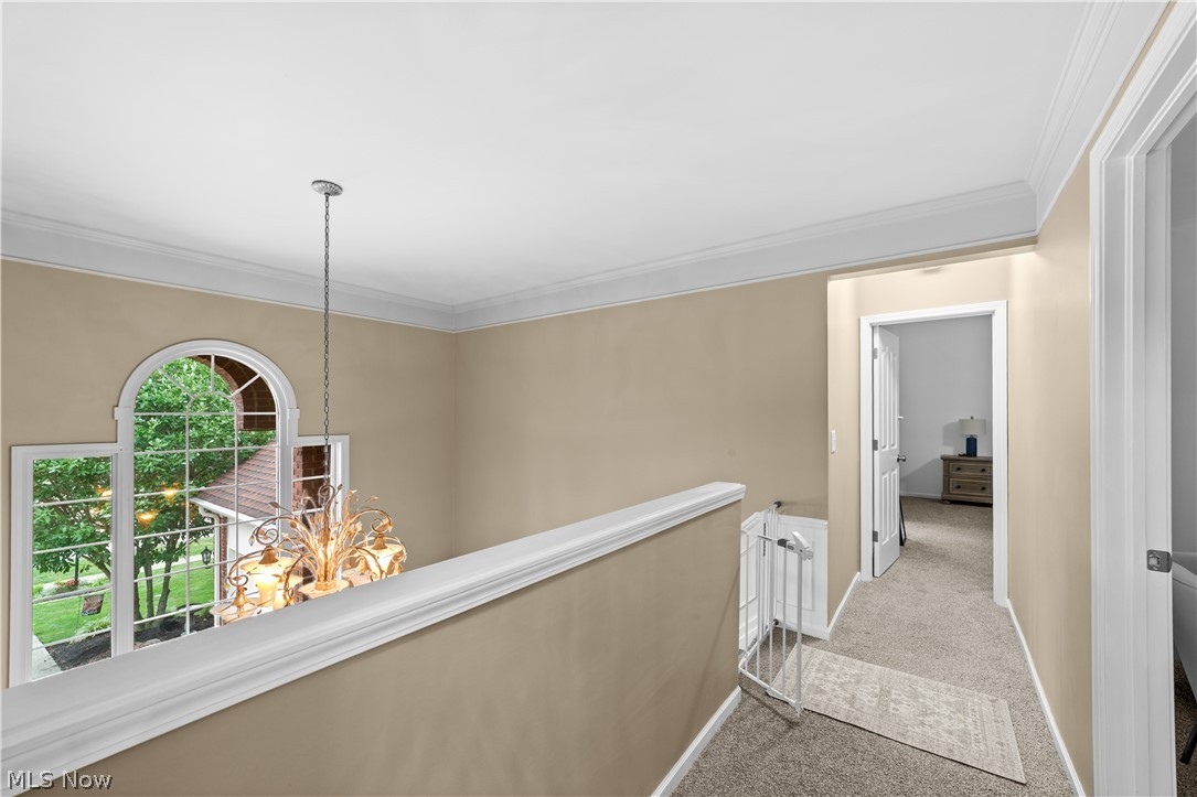 20116 Ellsworth Drive Strongsville OH 44149