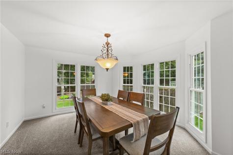 20116 Ellsworth Drive Strongsville OH 44149