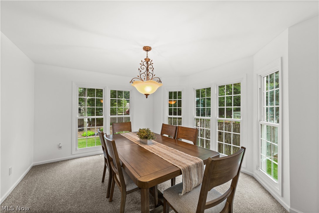 20116 Ellsworth Drive Strongsville OH 44149