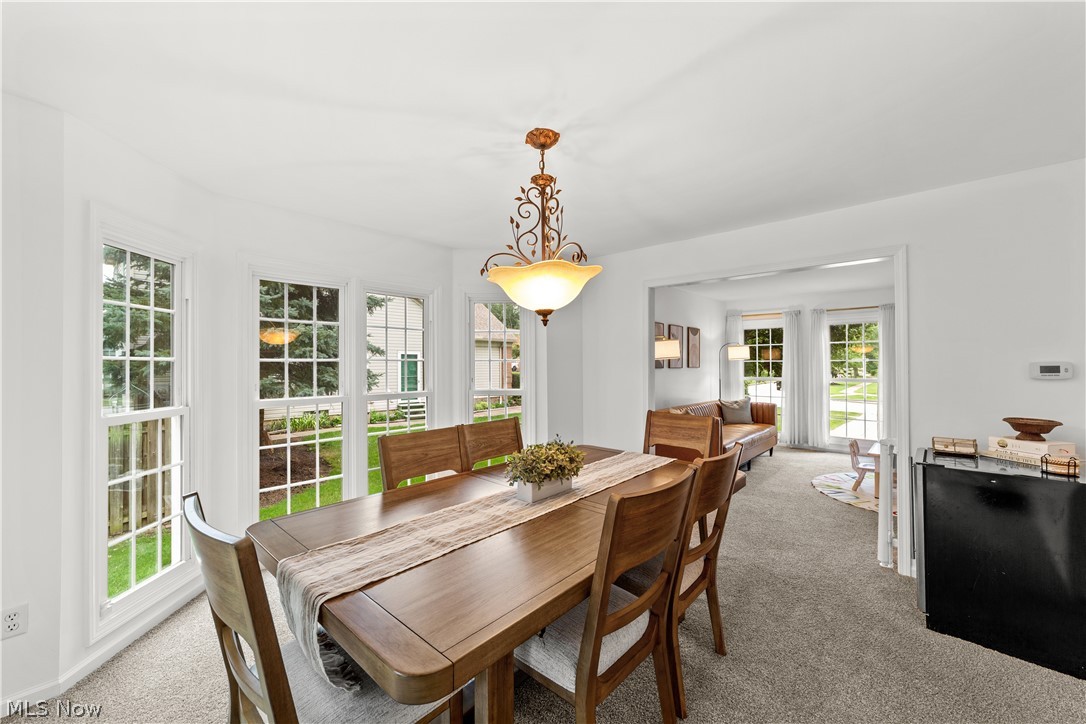 20116 Ellsworth Drive Strongsville OH 44149