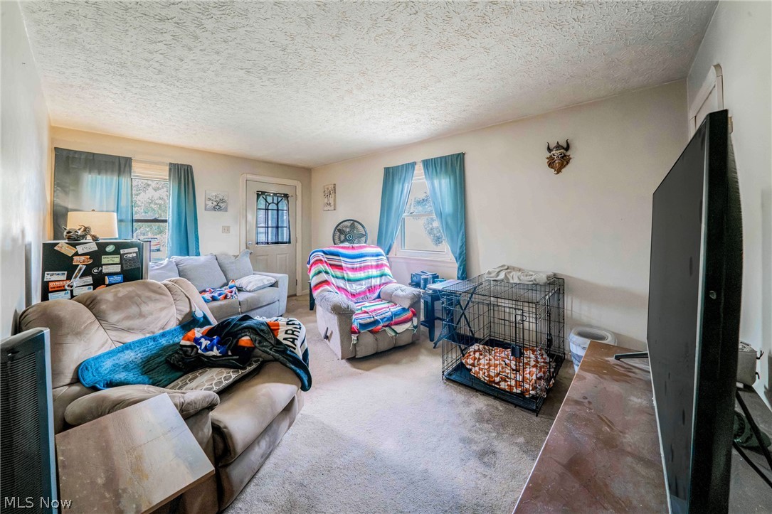 1347 Hammel Street Akron OH 44306
