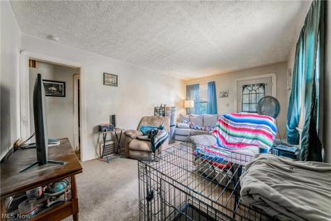1347 Hammel Street Akron OH 44306