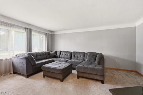 8908 Falls Lane Broadview Heights OH 44147