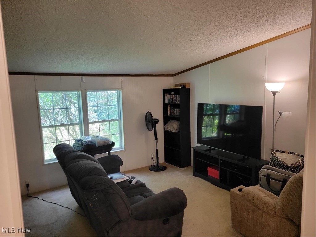 15615 Valleyview Drive Burton OH 44021