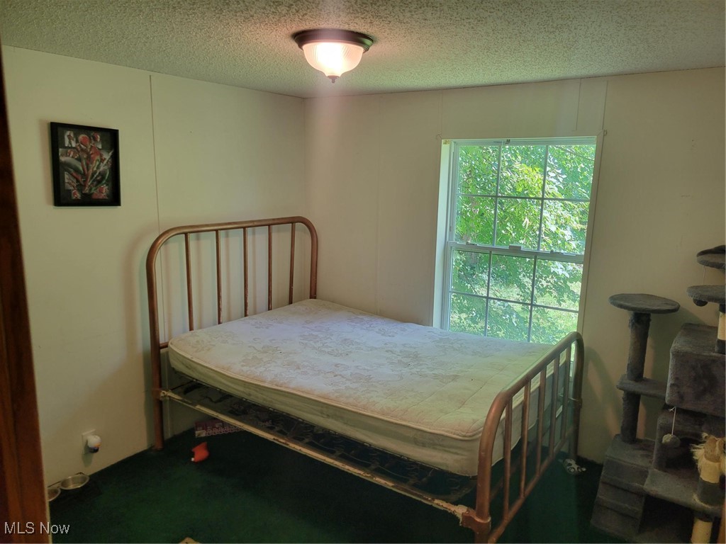 15615 Valleyview Drive Burton OH 44021