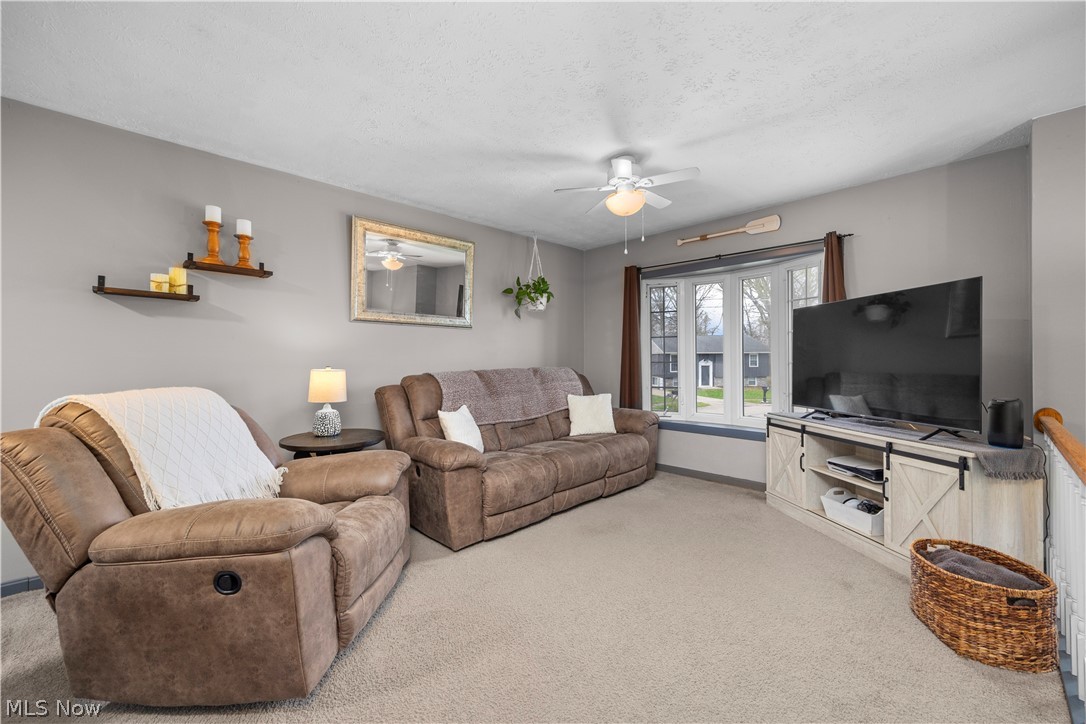 1121 Oakwood Drive Vermilion OH 44089