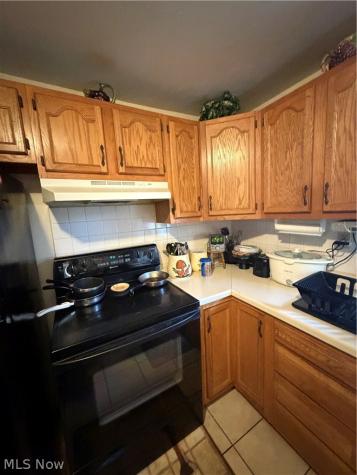 18903 Mohawk Avenue Cleveland OH 44119