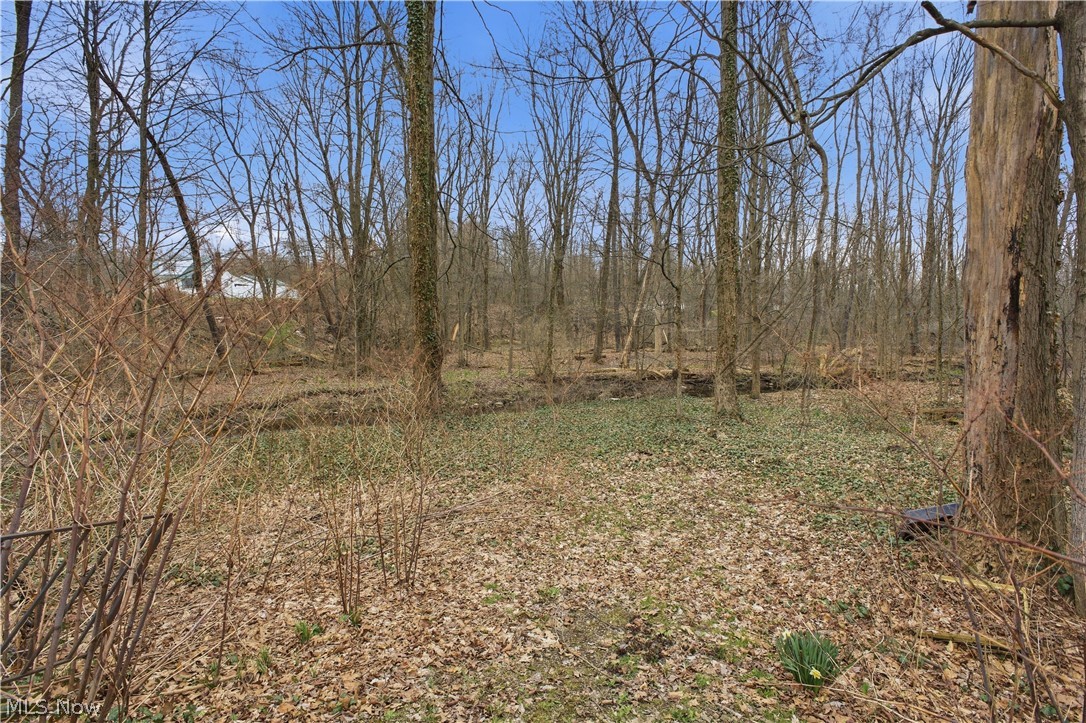 1110 Niles Vienna Road Vienna OH 44473