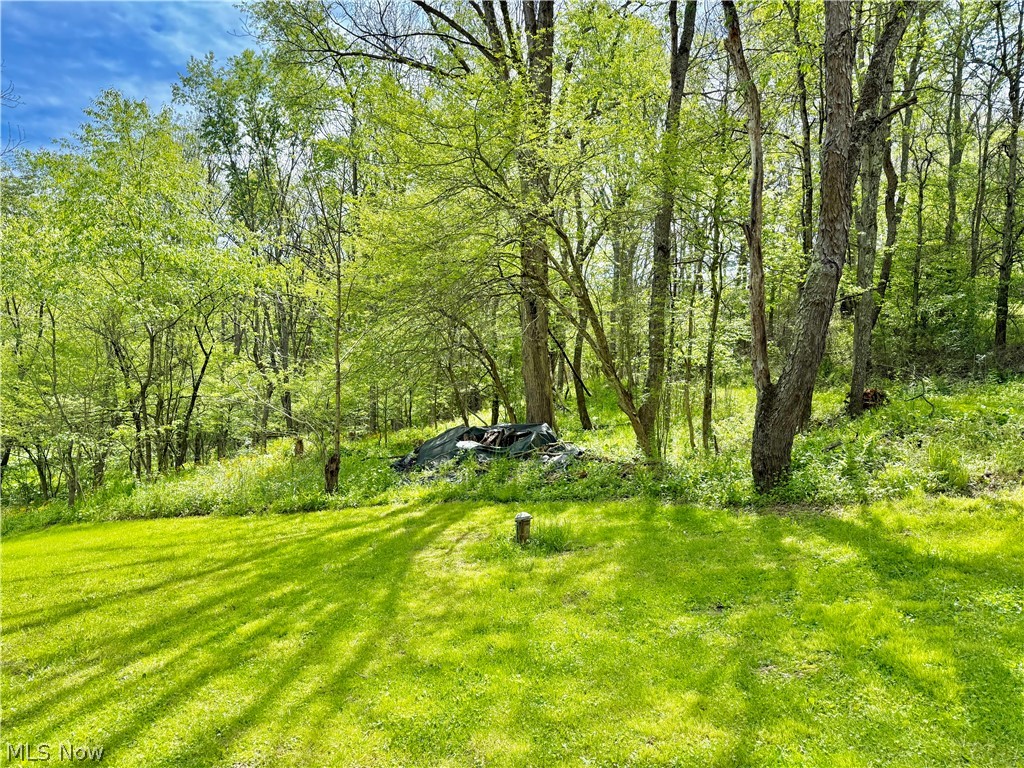 11811 Gaston Road Negley OH 44441