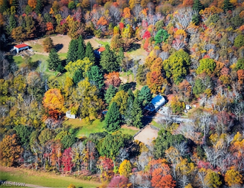 11811 Gaston Road Negley OH 44441