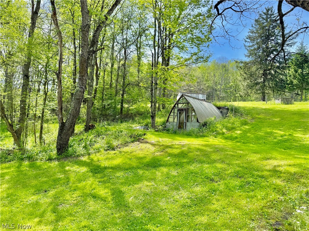 11811 Gaston Road Negley OH 44441