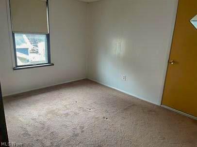 1010 Big Falls Avenue Akron OH 44310