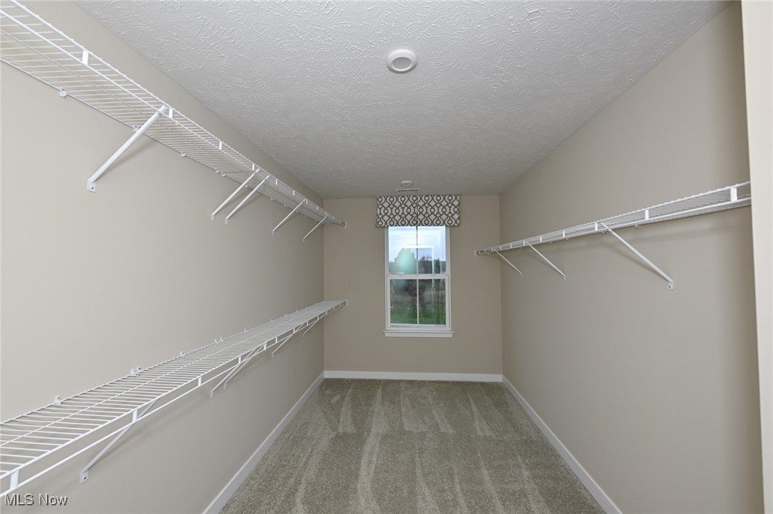 1997 Sugar Maple Drive Kent OH 44240