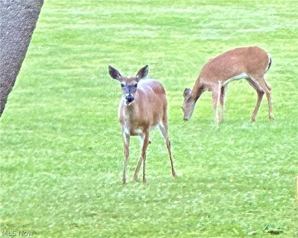 5010 State Route 307 Geneva OH 44041