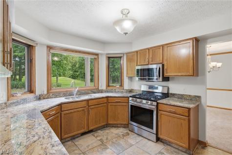 2817 Alling Drive Twinsburg OH 44087
