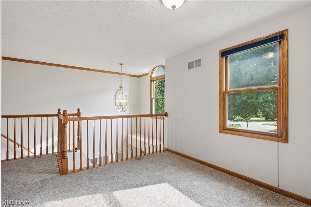 2817 Alling Drive Twinsburg OH 44087