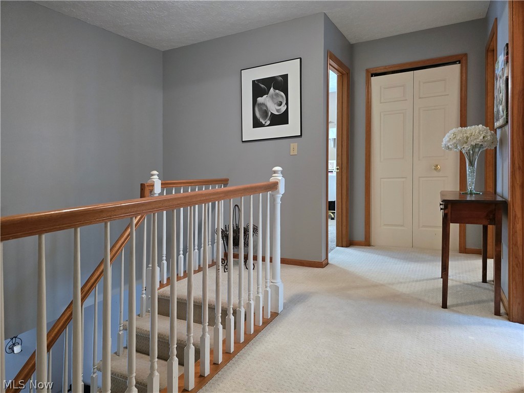 2867 Mapleview Lane Avon OH 44011