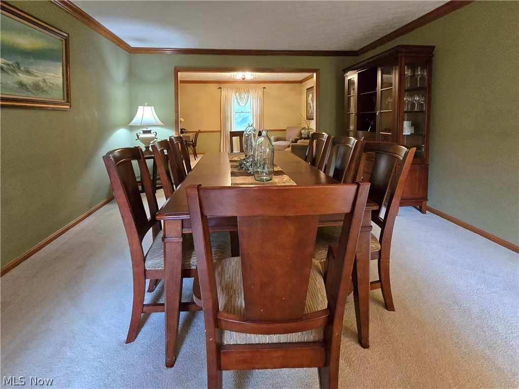 2867 Mapleview Lane Avon OH 44011