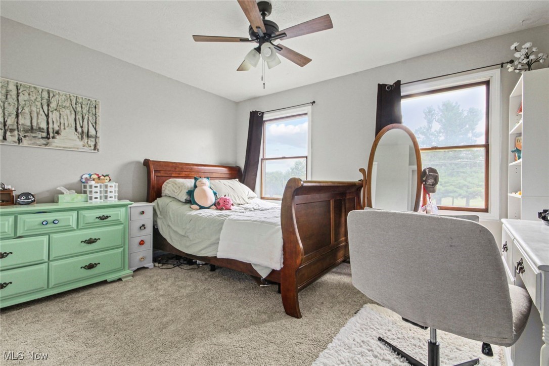 9974 New Buffalo Road Canfield OH 44406