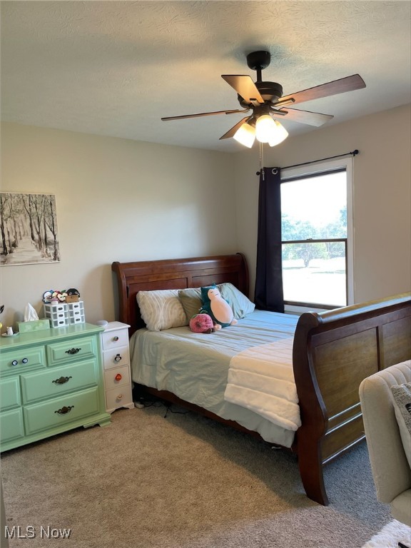 9974 New Buffalo Road Canfield OH 44406