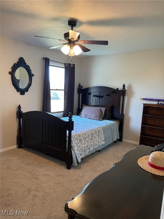 9974 New Buffalo Road Canfield OH 44406