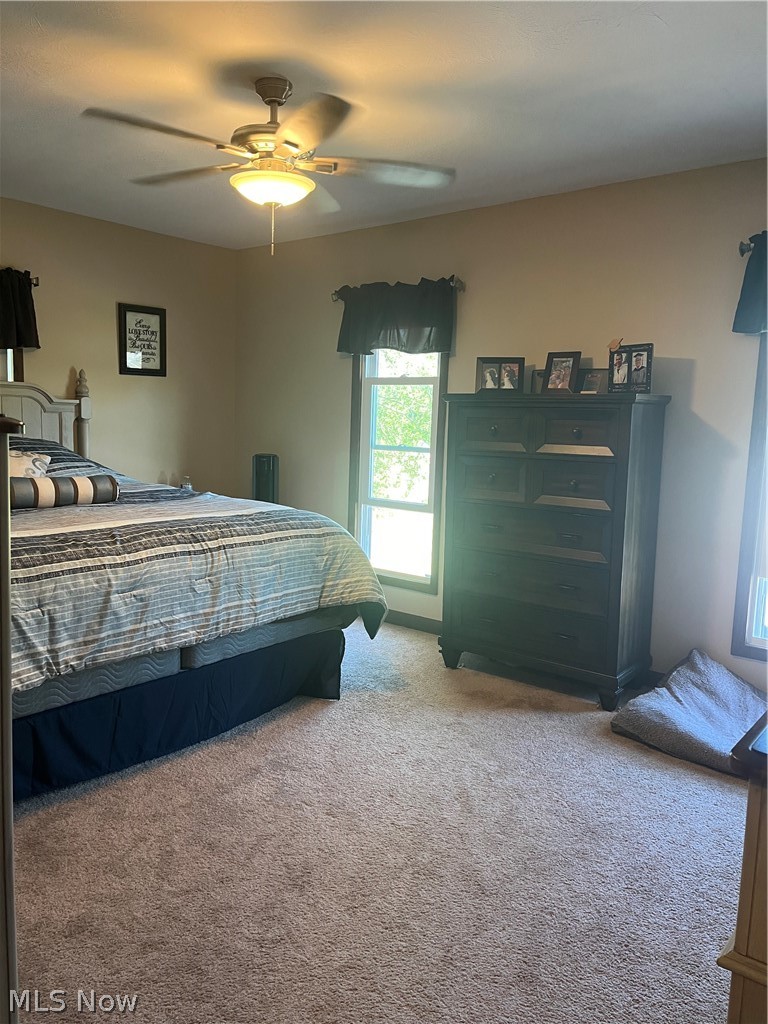1124 E 17th Street Ashtabula OH 44004