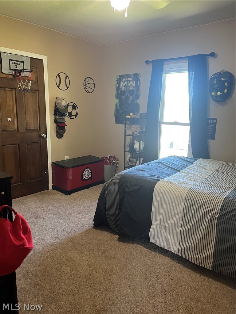 1124 E 17th Street Ashtabula OH 44004