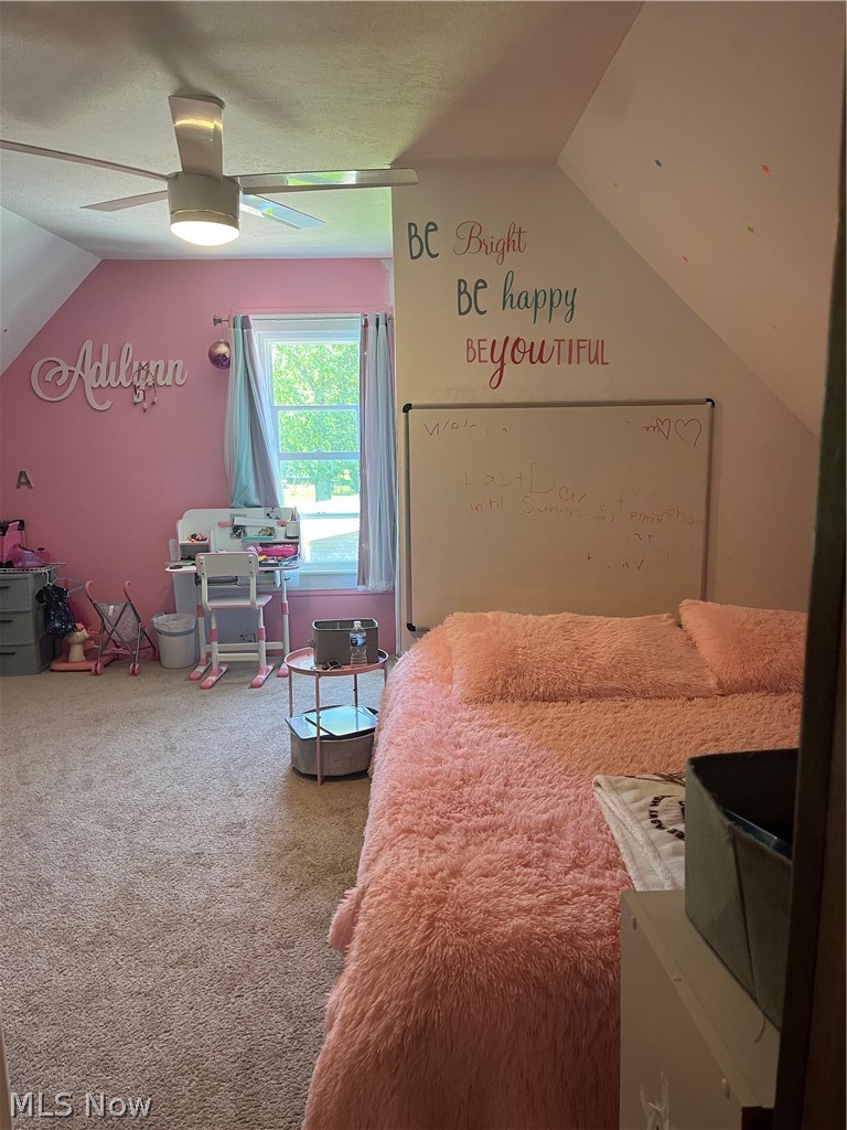 1124 E 17th Street Ashtabula OH 44004