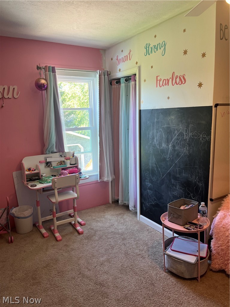 1124 E 17th Street Ashtabula OH 44004