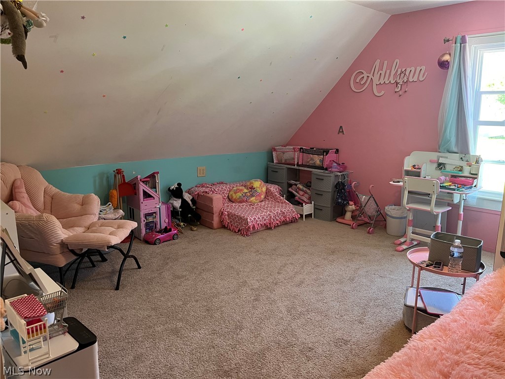 1124 E 17th Street Ashtabula OH 44004