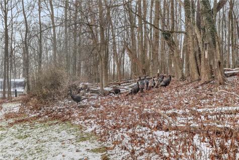 7014 River Styx Road Medina OH 44256