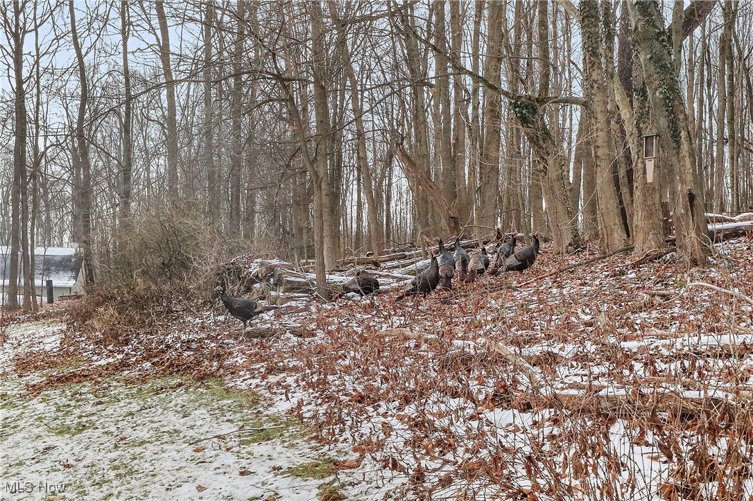 7014 River Styx Road Medina OH 44256