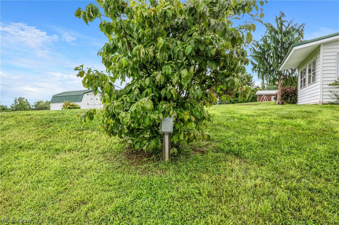 62280 Tacoma Road Barnesville OH 43713