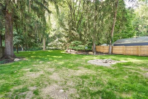 262 Lownsdale Avenue Akron OH 44313