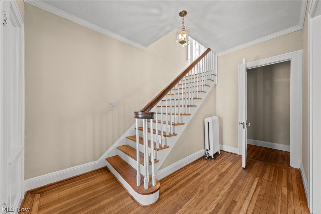 2212 Delaware Drive Cleveland Heights OH 44106