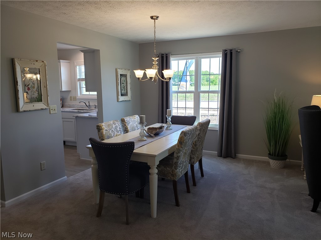 102 Stonecrest Trail Elyria OH 44035