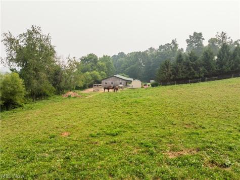 7803 Harrison Road Fredericksburg OH 44627