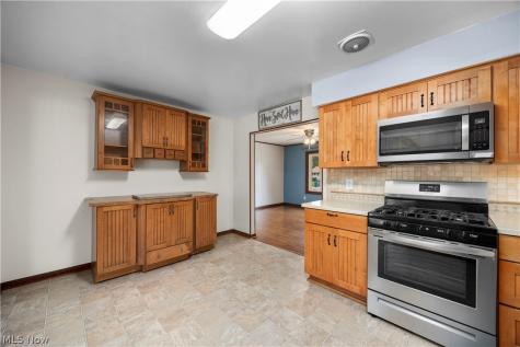 795 Tarry Lane Amherst OH 44001