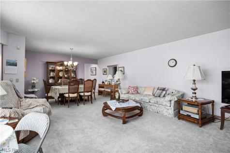 13228 Olympus Way Strongsville OH 44149