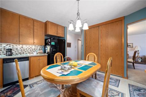 13228 Olympus Way Strongsville OH 44149