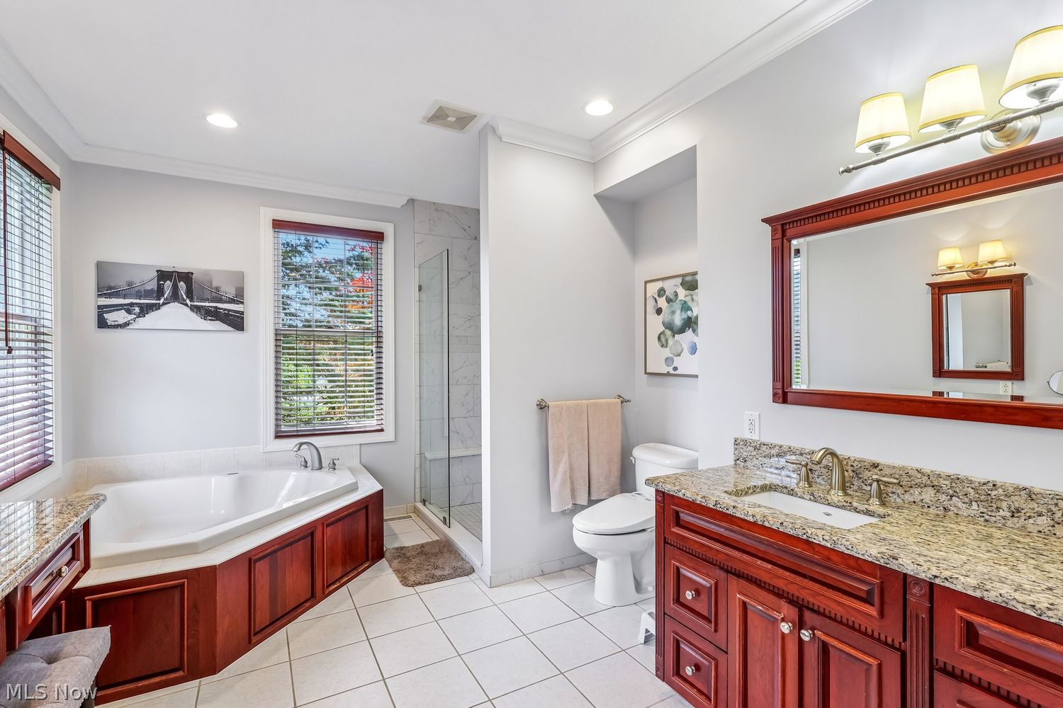 10747 Blueberry Hill Drive Kirtland OH 44094
