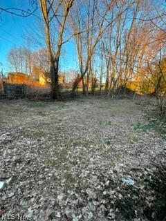 361 Centownship Roadal Court Steubenville OH 43952