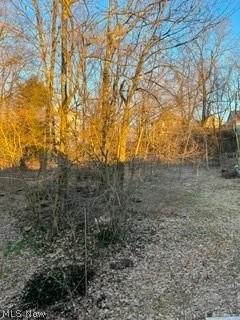 361 Centownship Roadal Court Steubenville OH 43952