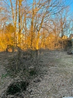 361 Centownship Roadal Court Steubenville OH 43952