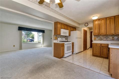 509 Monroe Boulevard Painesville OH 44077
