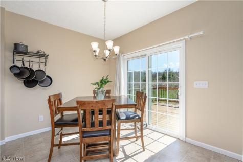 3564 Shady Timber Drive Twinsburg OH 44087