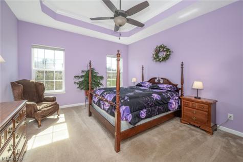 3564 Shady Timber Drive Twinsburg OH 44087